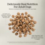 Now Fresh Grain-Free Adult Dog Food Recipe Dry Dog Food, photo 5