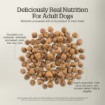 Now Fresh Lamb & Pork Grain-Free Dry Dog Food, photo 5