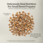 Now Fresh Grain-Free Small Breed Puppy Recipe Dry Dog Food, photo 4