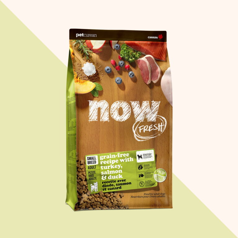Now Fresh Grain-Free Small Breed Adult Recipe Dry Dog Food
