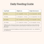 Now Fresh Grain-Free Large Breed Senior Recipe Dry Dog Food, photo 6