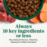 Nutro Limited Ingredient Diet Grain-Free Adult Lamb & Sweet Potato Recipe Dry Dog Food, photo 4