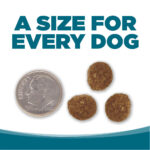 NutriSource Adult Chicken & Rice Recipe Dry Dog Food, photo 7
