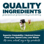 NutriSource Small Bites Adult Chicken & Rice Recipe Dry Dog Food, photo 5