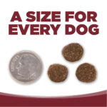 NutriSource Beef & Rice Recipe Dry Dog Food, photo 6