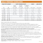 NutriSource Lamb Meal & Rice Recipe Dry Dog Food, photo 5