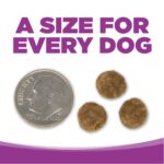 NutriSource Grain-Free Large Breed Puppy Dry Dog Food, photo 6