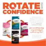 NutriSource Performance Chicken & Rice Recipe Dry Dog Food, photo 5