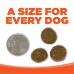NutriSource Performance Chicken & Rice Recipe Dry Dog Food, photo 7