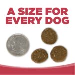 NutriSource Super Performance Dry Dog Food, photo 7