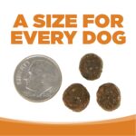 NutriSource Grain-Free Lamb Meal & Peas Recipe Dry Dog Food, photo 3