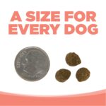 NutriSource Grain-Free Small Bites Seafood Select Recipe Dry Dog Food, photo 7