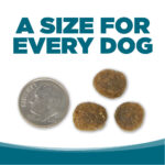 NutriSource Grain-Free Chicken & Pea Recipe Dry Dog Food, photo 7