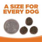 NutriSource PureVita Grain-Free Venison & Red Lentils Entree Dry Dog Food, photo 7