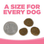 NutriSource PureVita Grain-Free Small Bites Salmon & Peas Entree Dry Dog Food, photo 7