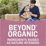 Purina Beyond Organic Small Dog Chicken, Egg & Carrot Recipe Natural Dry Dog Food, photo 2