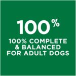 Purina Dog Chow Complete Adult with Real Chicken Dry Dog Food, photo 3