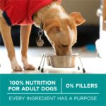 Purina One SmartBlend Digestive Health Formula with Real Chicken Dry Dog Food, photo 4