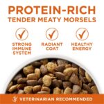 Purina One SmartBlend Healthy Weight High Protein Formula Adult Premium Dry Dog Food, photo 3