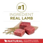 Purina One SmartBlend Adult Dog Lamb & Rice Formula Dry Dog Food, photo 4