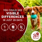 Purina One SmartBlend Healthy Weight High Protein Formula Adult Premium Dry Dog Food, photo 4