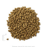 Solid Gold Mighty Mini Toy & Small Breed Beef, Sweet Potato & Apple Recipe Grain-Free Dry Dog Food, photo 2