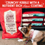Stella & Chewy’s Beef Recipe with Pumpkin & Quinoa Raw Coated Kibble Wholesome Grains Dry Dog Food, photo 4