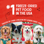 Stella & Chewy’s Grass-Fed Lamb Raw Coated Kibble Grain-Free Dry Dog Food, photo 5