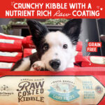 Stella & Chewy’s Grass-Fed Lamb Raw Coated Kibble Grain-Free Dry Dog Food, photo 4
