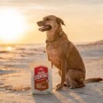 Stella & Chewy’s High Plains Red Recipe with Grass-Fed Beef Grain-Free Dry Dog Food, photo 2