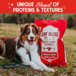Stella & Chewy’s Red Meat Recipe with Pumpkin & Quinoa Raw Blend Baked Kibble with Grains Dry Dog Food, photo 4