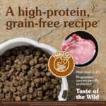 Taste of the Wild Southwest Canyon Canine Recipe with Wild Boar Grain-Free Dry Dog Food, photo 3