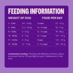 Wellness Complete Health Grained Small Breed Senior Turkey Peas Dry Dog Food, photo 2