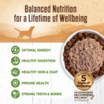 Wellness Ninety-Five Percent Lamb Grain-Free Dog Food Mixer or Topper, photo 3